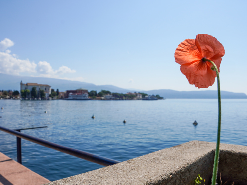 Sonnenschein in Riva